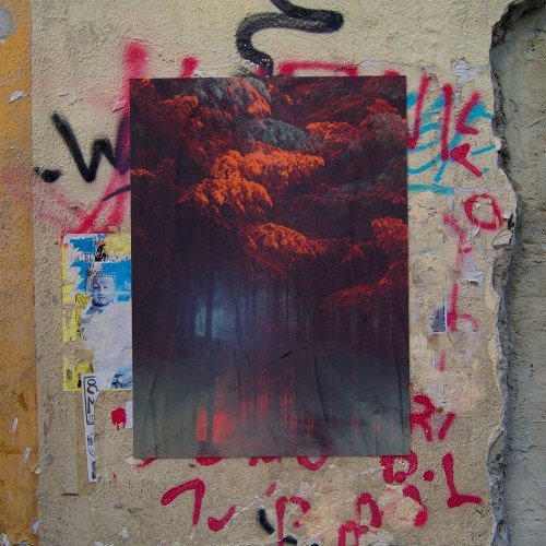 For&ecirc;t Onirique